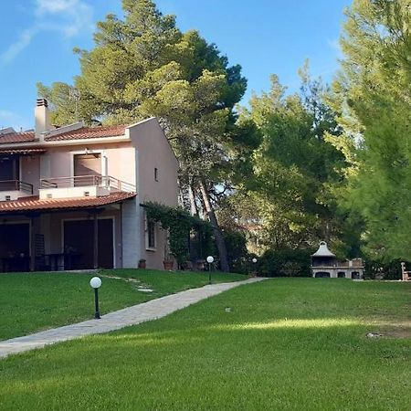 Sithonia Alekos Luxury Experience Daire Metamorfosi  Dış mekan fotoğraf