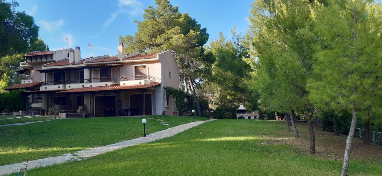Sithonia Alekos Luxury Experience Daire Metamorfosi  Dış mekan fotoğraf