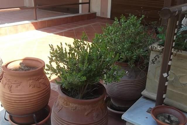Sithonia Alekos Luxury Experience Daire Metamorfosi  Dış mekan fotoğraf