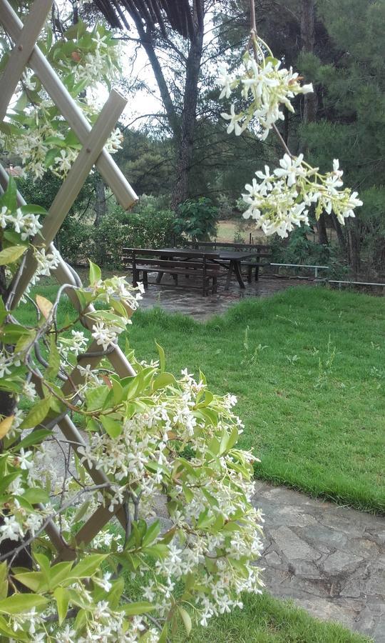 Sithonia Alekos Luxury Experience Daire Metamorfosi  Dış mekan fotoğraf