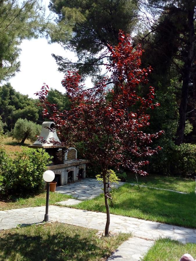 Sithonia Alekos Luxury Experience Daire Metamorfosi  Dış mekan fotoğraf