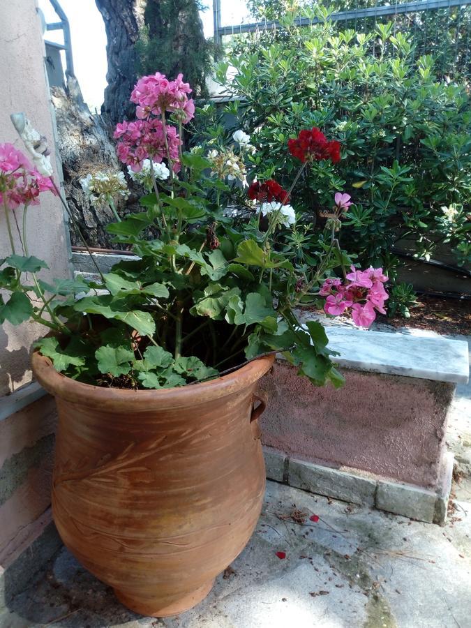 Sithonia Alekos Luxury Experience Daire Metamorfosi  Dış mekan fotoğraf