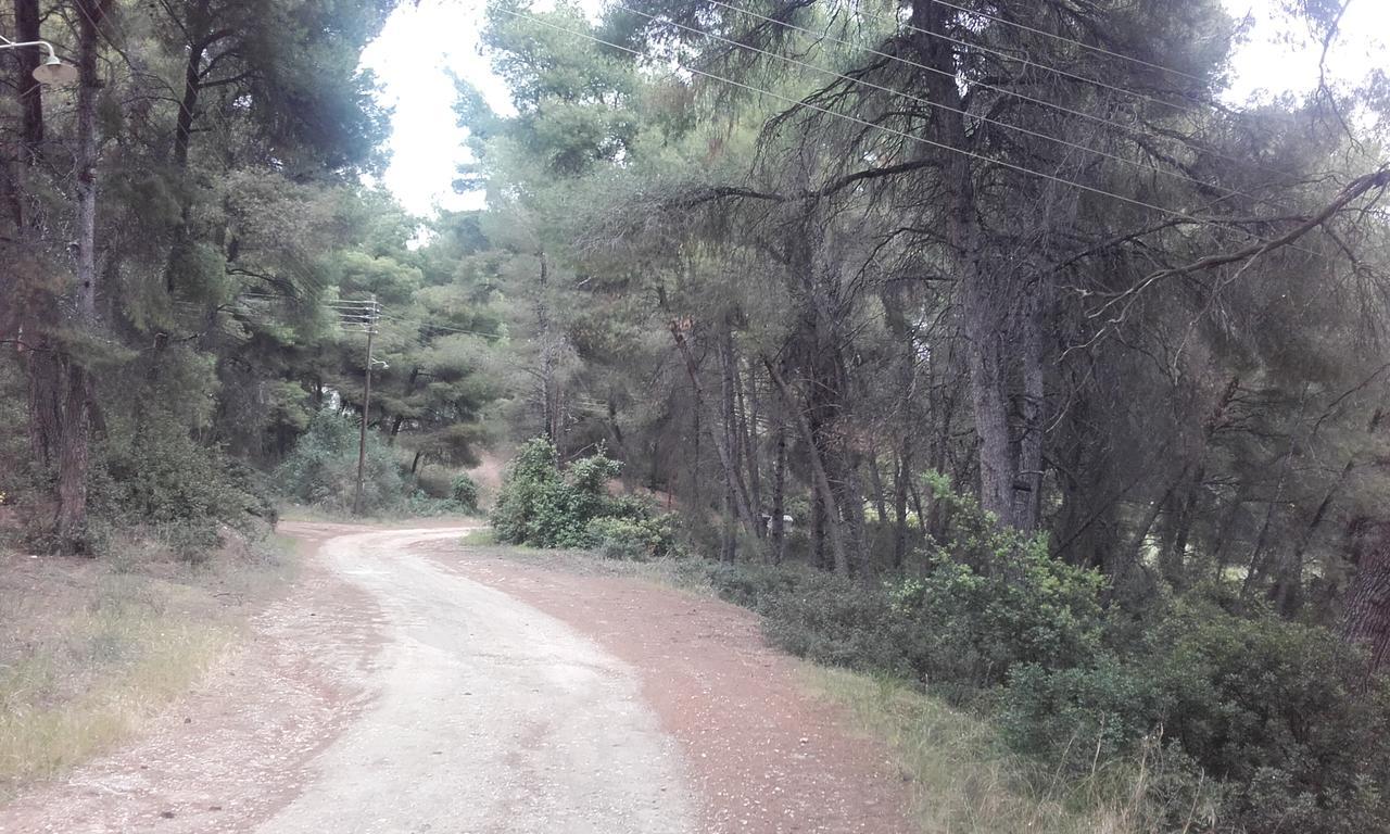 Sithonia Alekos Luxury Experience Daire Metamorfosi  Dış mekan fotoğraf