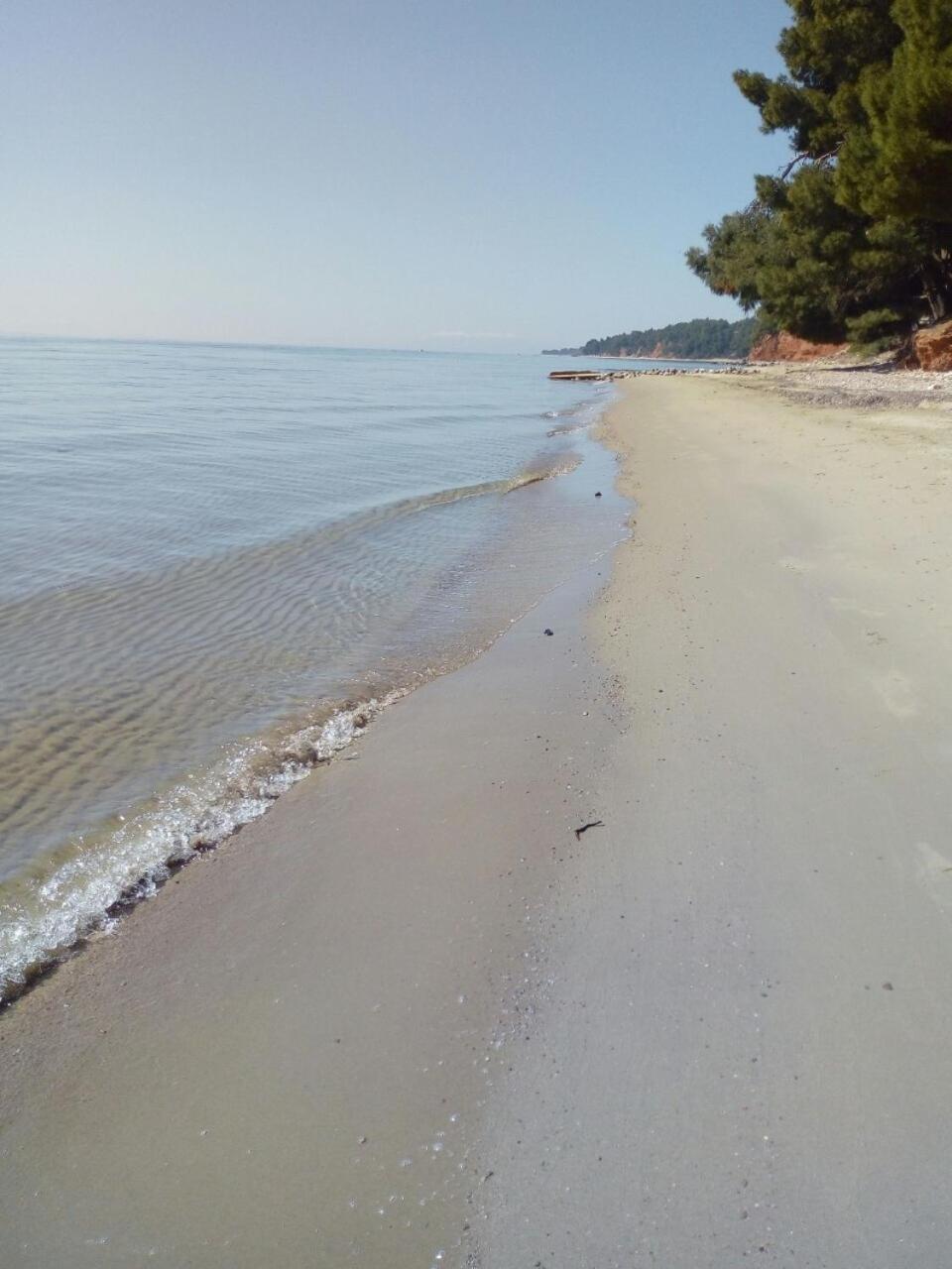 Sithonia Alekos Luxury Experience Daire Metamorfosi  Dış mekan fotoğraf